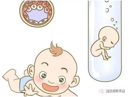 关于供卵代怀价格